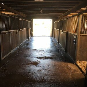 Pensionstal-Stoeterij Sprenkeling image 4