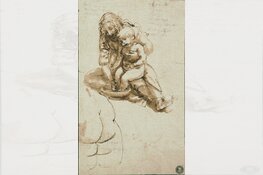 Bibliotheekcollege over Leonardo da Vinci