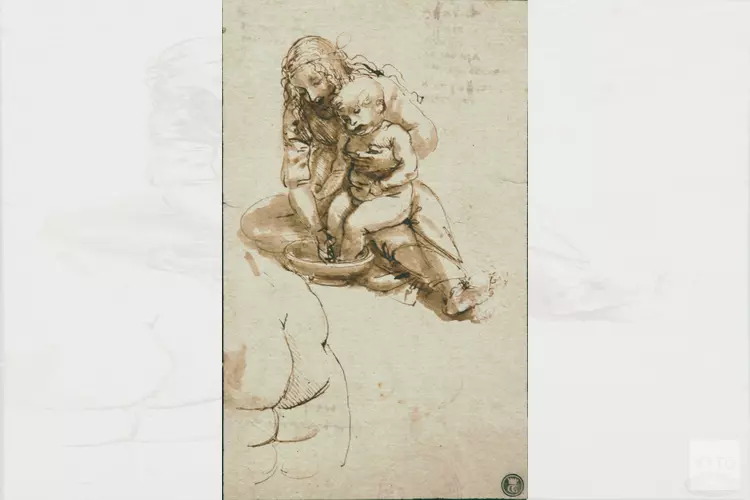 Bibliotheekcollege over Leonardo da Vinci