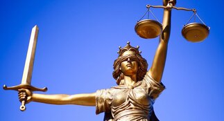 Meer onderzoek nodig naar boom die Haarlemse bloemenkiosk verwoestte