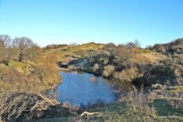 31ste  Winter-Strand-Duinwandeling van WSV "de Zwervers"