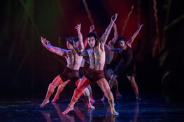 Backbone: Canadese topgroep brengt met stoere atletische dans ode aan Canadese landschap