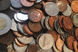 Gratis taxatie munten en postzegels in Museum Haarlem