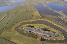 Zondag 10 maart spectaculaire vogelkijkdag bij Fort bij Krommeniedijk