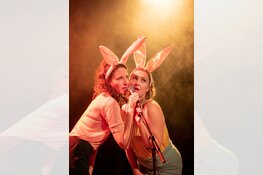 Gestoorde sketches en absurde personages en toch herkenbaar: OLDENHERMANNS