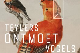Teylers Museum ontmoet vogels