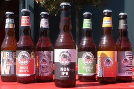 Craft brouwerij Jopen met 7 awards grootste winnaar tijdens Dutch Beer Challenge 2019