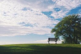 Nabestaanden niet op de hoogte van levensverzekeringen en laten duizenden euro’s liggen
