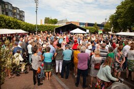 Heemskerk in de tijdmachine met Kunst en Cultuur