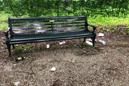 Beeckestijn getroffen door vandalisme