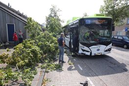 Lijnbus veroorzaakt ravage in Haarlem