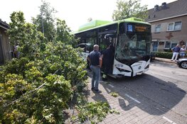 Lijnbus veroorzaakt ravage in Haarlem