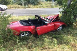 Cabrio tegen boom, twee gewonden