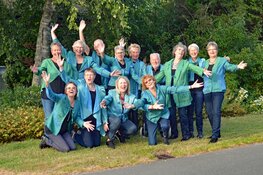 Heemskerks Gemengd koor Musical Sound