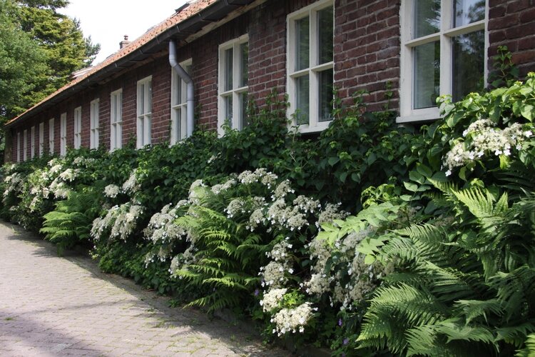 Boerderij Landzicht september en oktober 2019