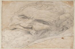 Alle Michelangelo's van Teylers Museum op reis