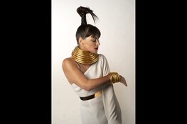 Een muzikale reis van Parijs naar Casablanca  Ellen ten Damme & The Magpie Orchestra