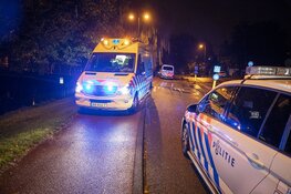 Man raakt tijdens uitlaten hond te water in Haarlem