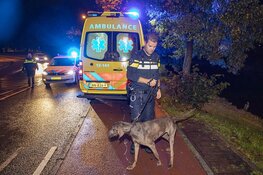 Man raakt tijdens uitlaten hond te water in Haarlem