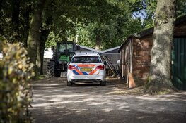 Vrouw gewond na val van paard in Vogelenzang