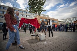 Eerste boom Nova Campus Haarlem