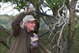 De duinen kunnen niet zonder vrijwilligers