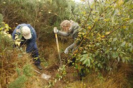 Landelijke Natuurwerkdag Koningshof