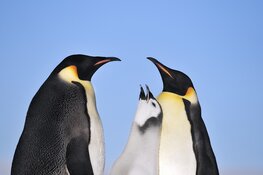 ‘Ontdek de Aarde’ met fotograaf Jan Vermeer