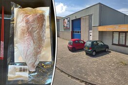 Honderden kilo's vis gestolen bij IJmuidens sushirestaurant