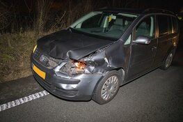 Weer hert doodgereden op de Zeeweg in Overveen