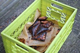 Appelflappen floppen, veel rook in Heemsteedse basisschool