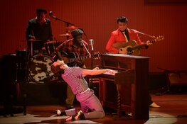 Herleef de tijd van de Rock ’n Roll in het theater