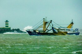 Storm geeft mooie beelden op Noordpier
