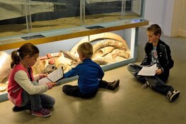 Museum extra open in voorjaarsvakantie