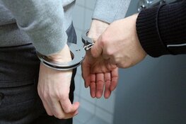 Twee inbrekers op heterdaad aangehouden
