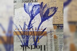 Knoppen en voorjaarsbloemen tekenen met BIC-pen bij kasteeltuin Assumburg