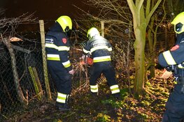 Brand in glazen kas door ongediertebestrijding in Beverwijk