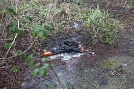 Brandje bij schuur in Haarlem