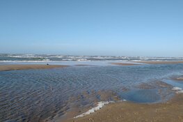 Zandvoort en Bloemendaal waarschuwen na opnieuw veel strandbezoek: blijf weg!