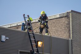 Brandweer groots uitgerukt voor brand op dak IJmuiden