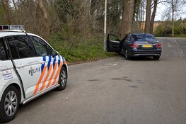 Automobilist moet uitwijken voor kat en botst tegen boom