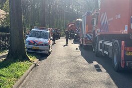 Brand in natuurgebied bij Aerdenhout, politie zoekt mogelijke brandstichter