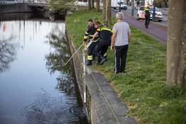 Jongen te water aan de Zijlsingel in Haarlem