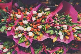 Bloemen leggen bij oorlogsmonumenten