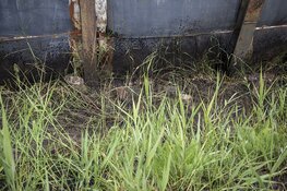 Bermbrand langs Waarderweg