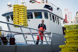 Proef Noordzeevis uit IJmuiden