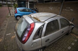 Auto's beschadigd door omgevallen boom door storm IJmuiden