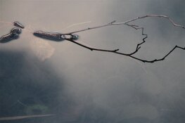 Inspiratiesessie 'Bewustzijn en Beeld' bij ISOO