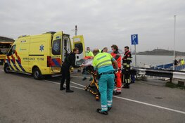 Hond eigenaar springt te water om hond te redden