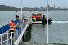 Hond eigenaar springt te water om hond te redden